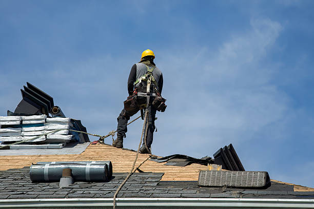 Professional Roof Replacement technician working in Shepherd, MI